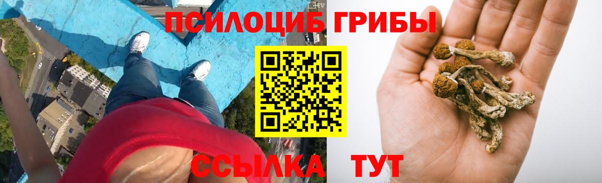 Псилоцибиновые грибы GOLDEN TEACHER  Псилоцибиновые грибы мицелий  Новочеркасск  Вход с VPN 
